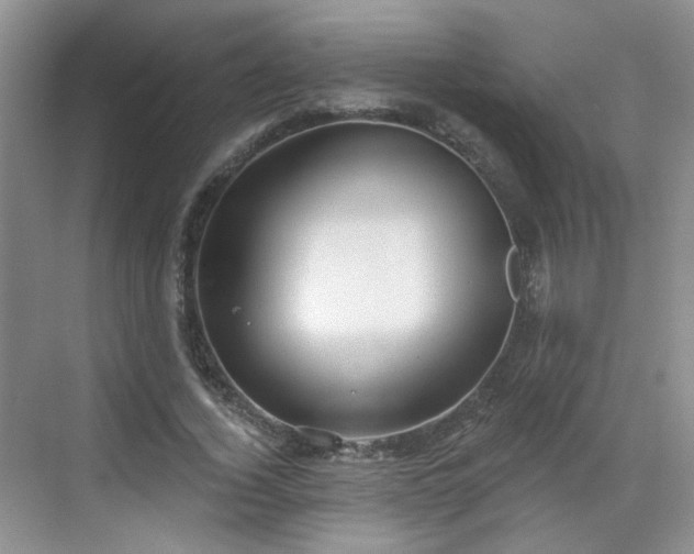 X0000068720732200605051432