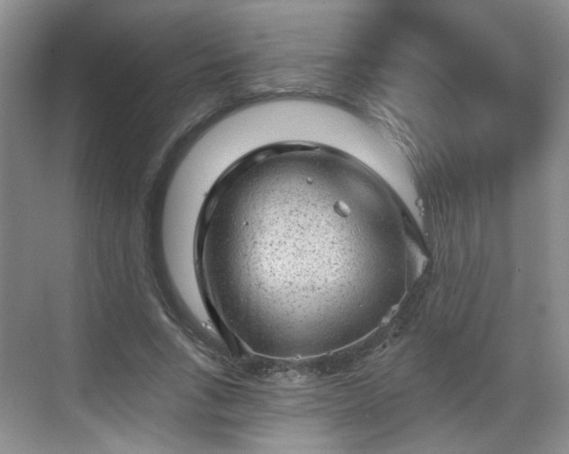 X0000068720735200605051432