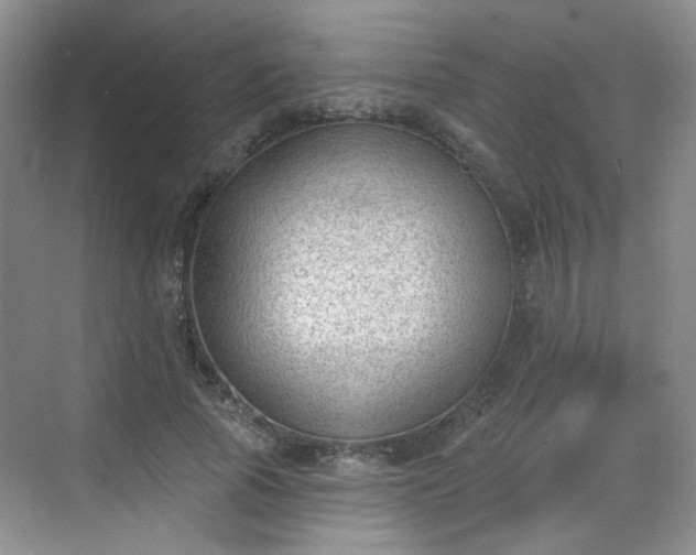 X0000068720737200605051432