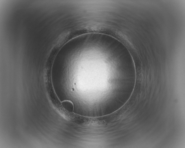 X0000068720738200605051432