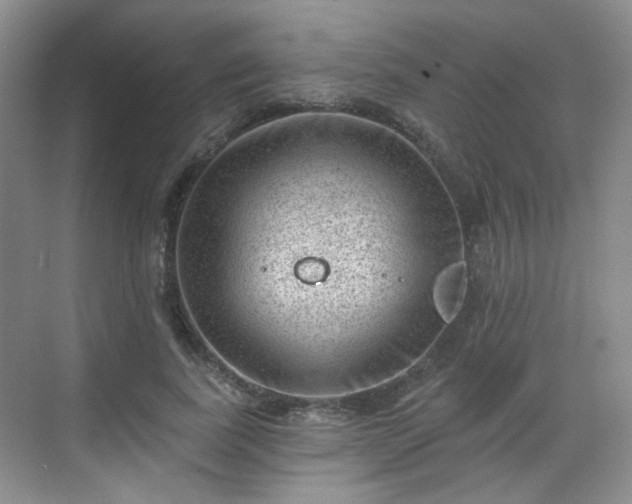 X0000068720739200605051432