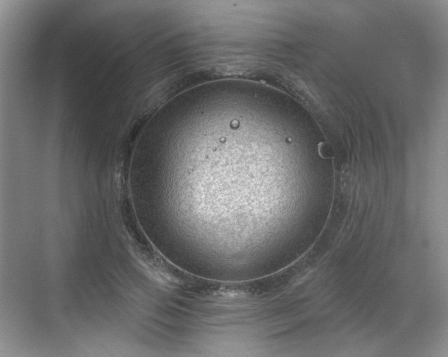 X0000068720741200605051432