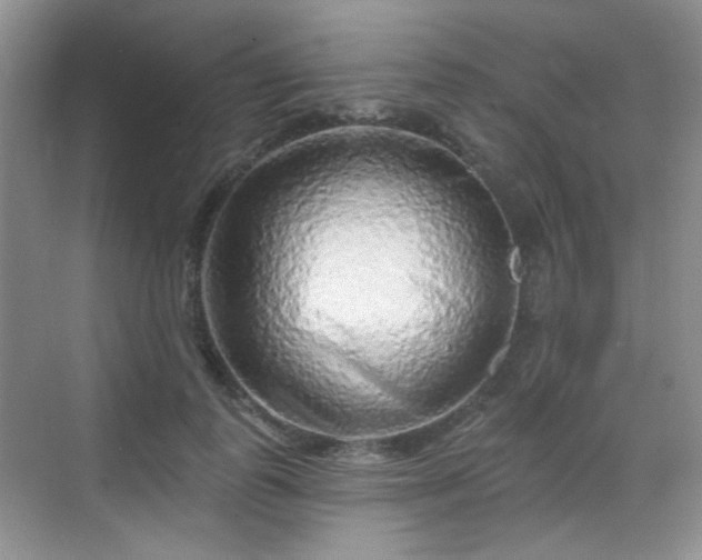 X0000068720747200605051433