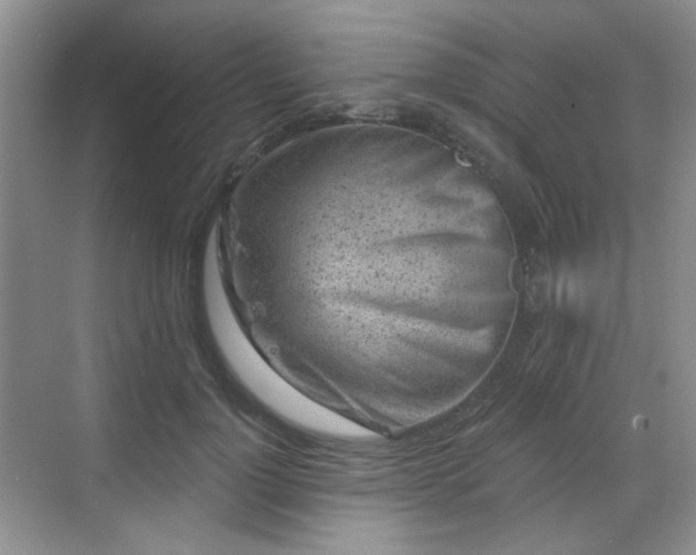 X0000068720748200605051433