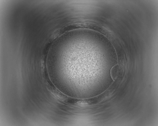 X0000068720749200605051433