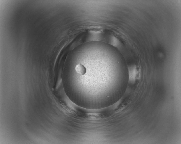 X0000068720750200605051433