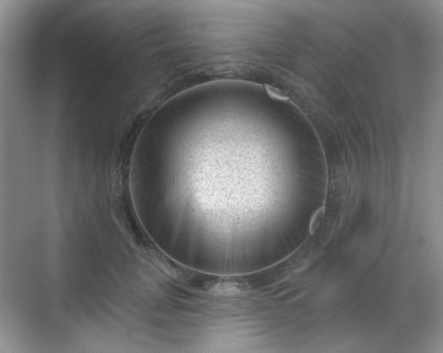 X0000068720751200605051433