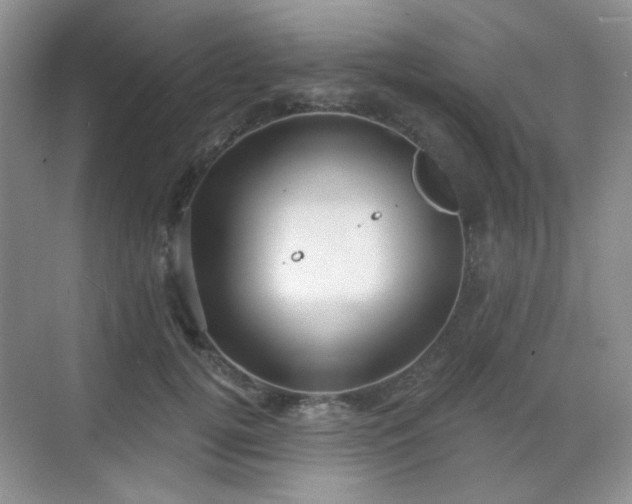 X0000068720752200605051433