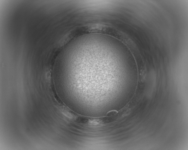 X0000068720753200605051433