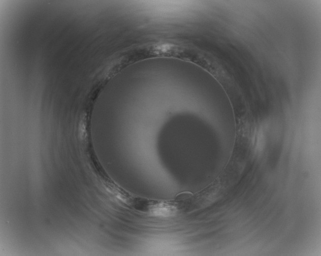 X0000068720754200605051433