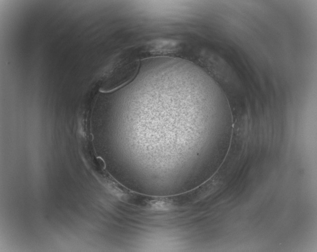 X0000068720755200605051433