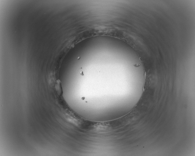 X0000068720756200605051433