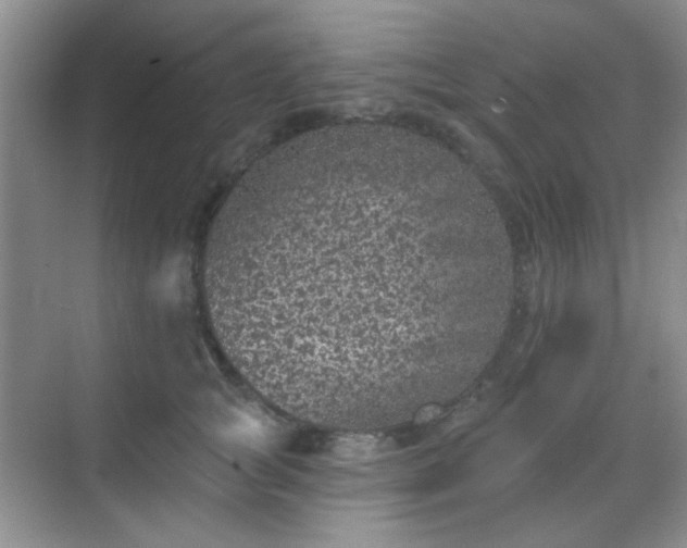 X0000068720757200605051433