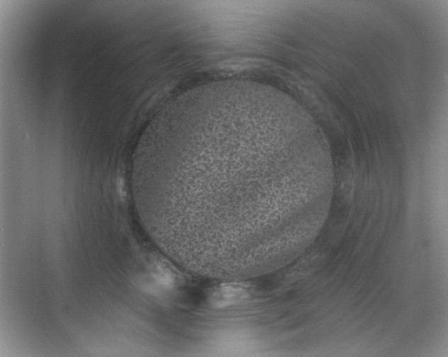 X0000068720758200605051433