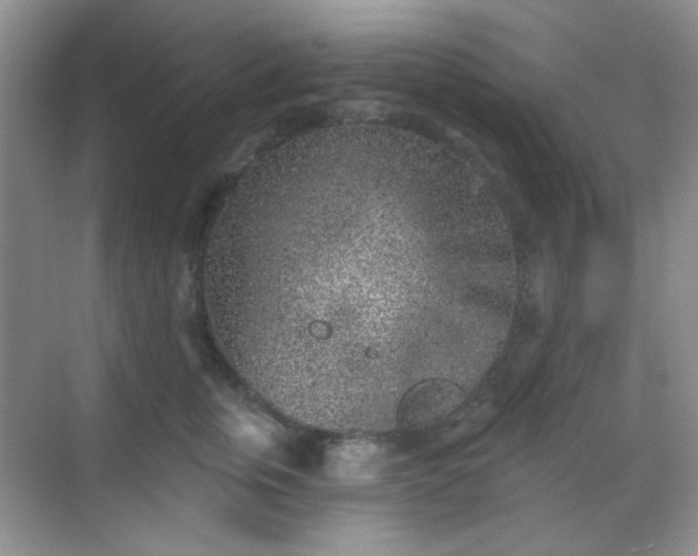 X0000068720759200605051433