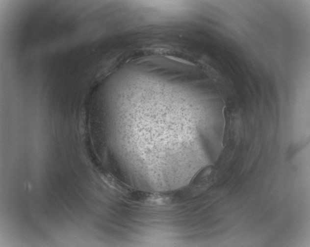 X0000068720760200605051433