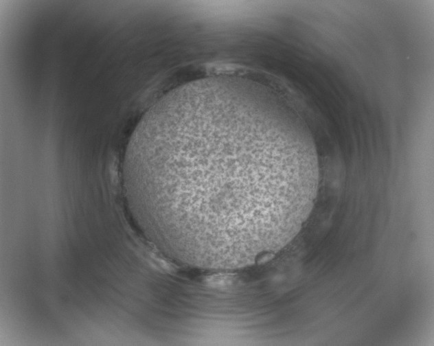 X0000068720761200605051433