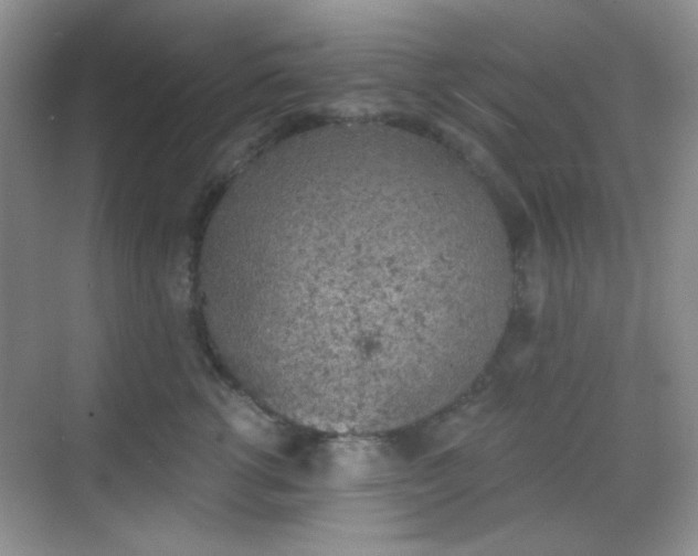 X0000068720762200605051433