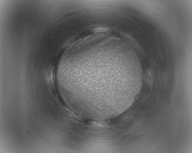 X0000068720763200605051433