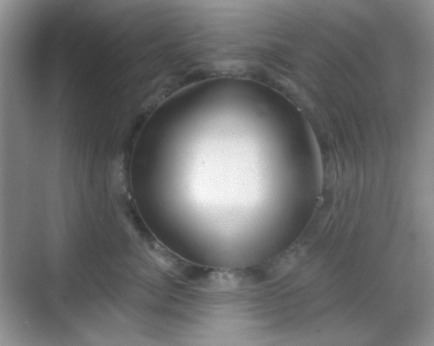 X0000068720764200605051433