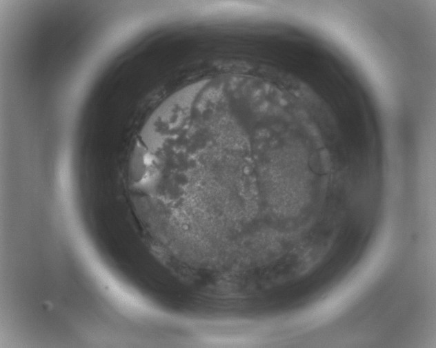 X0000068720765200605051433