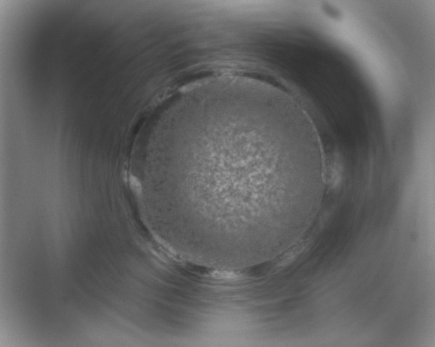 X0000068720766200605051433