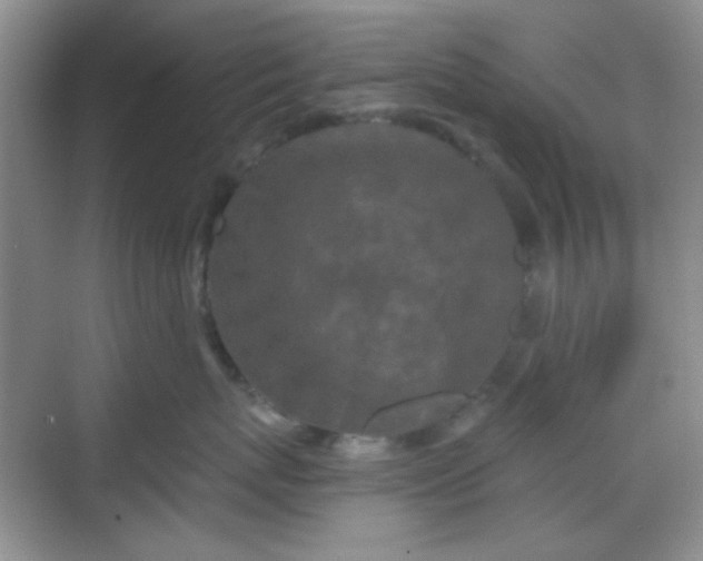 X0000068720767200605051433