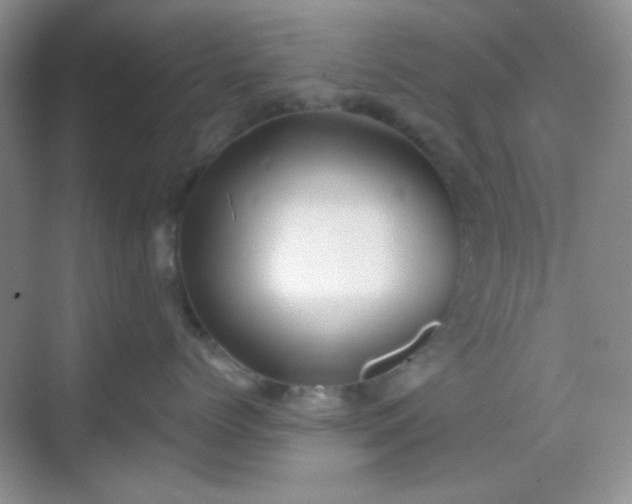 X0000068720768200605051433