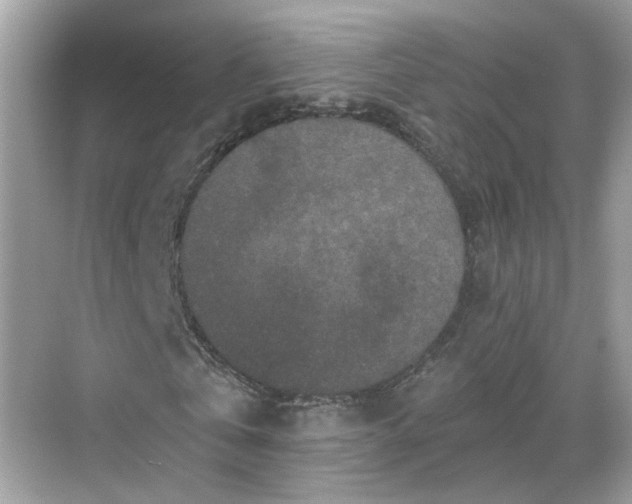 X0000068720769200605051432