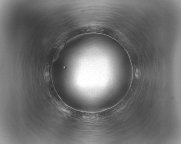 X0000068720771200605051432