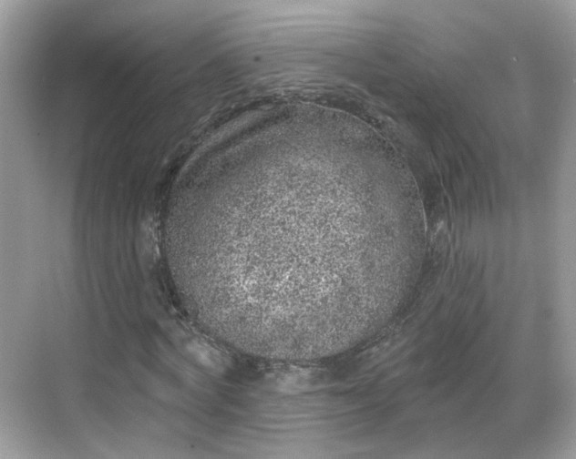 X0000068720772200605051432