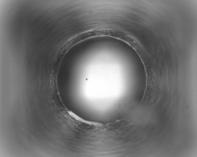 X0000068720773200605051432