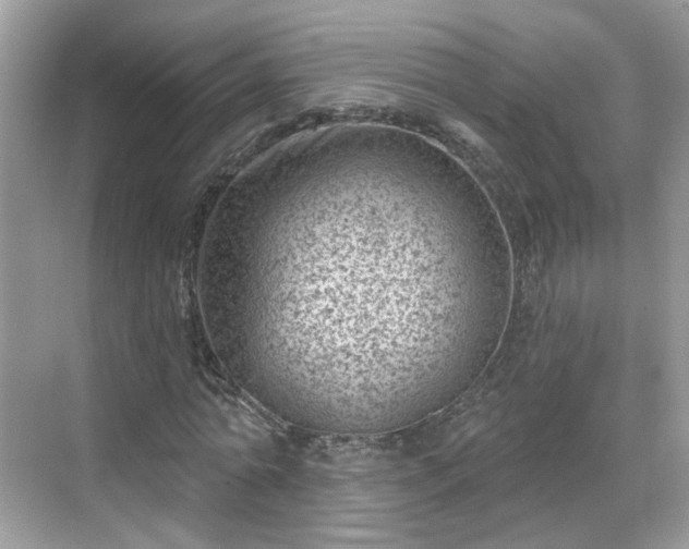 X0000068720774200605051432