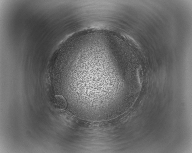 X0000068720776200605051432