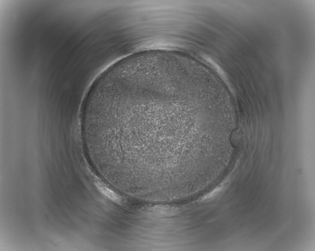 X0000068720779200605051432