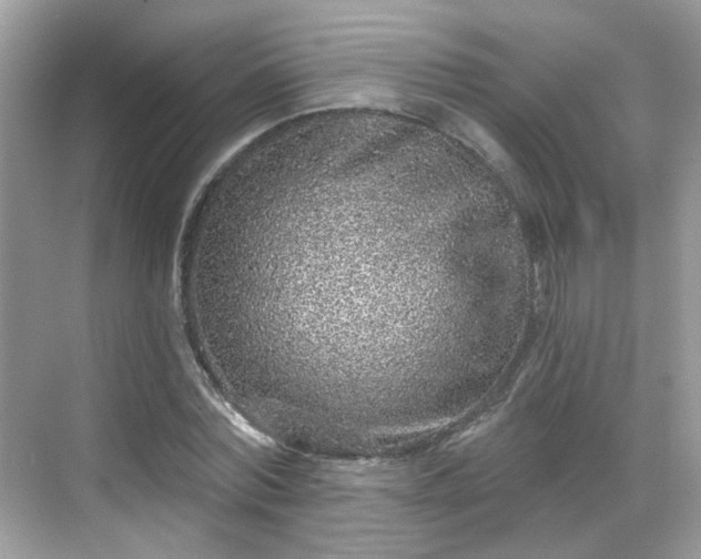 X0000068720780200605051432