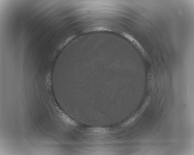 X0000068720785200605051432