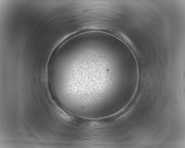 X0000068720787200605051432