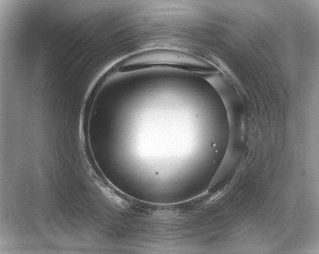 X0000068720788200605051432