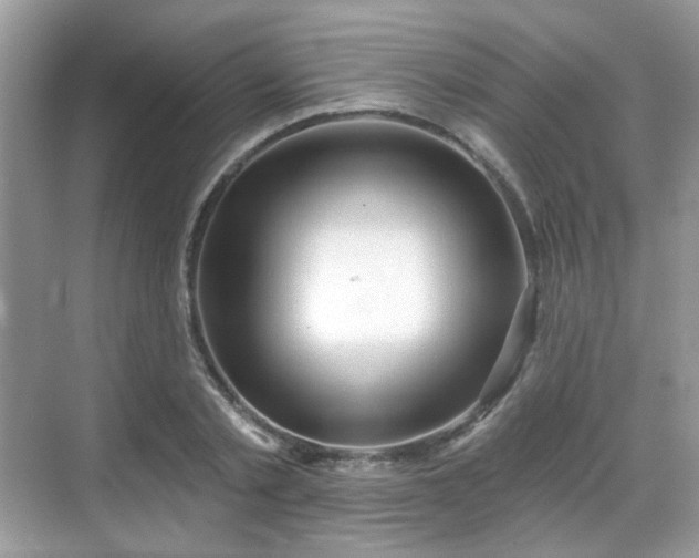 X0000068720789200605051432