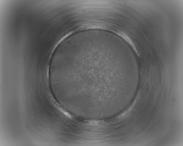 X0000068720790200605051432