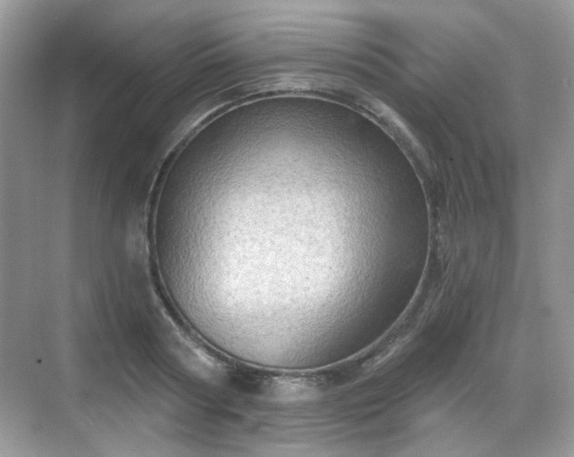 X0000068720794200605051432