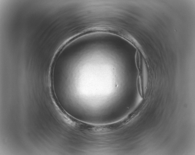 X0000068720795200605051432