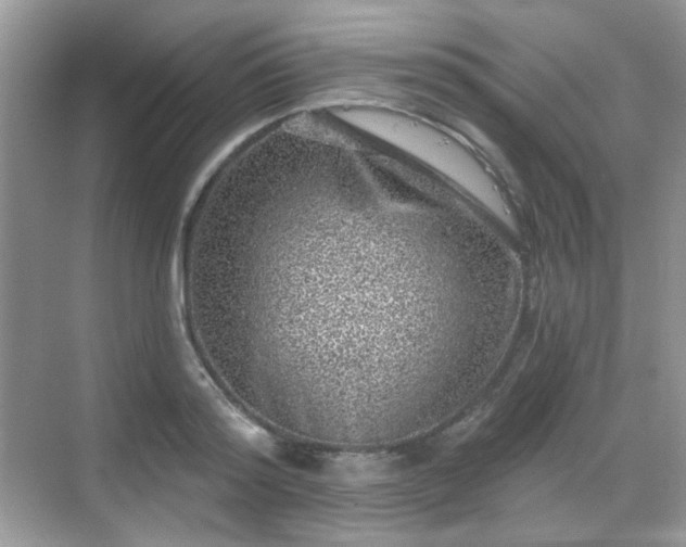 X0000068720796200605051432