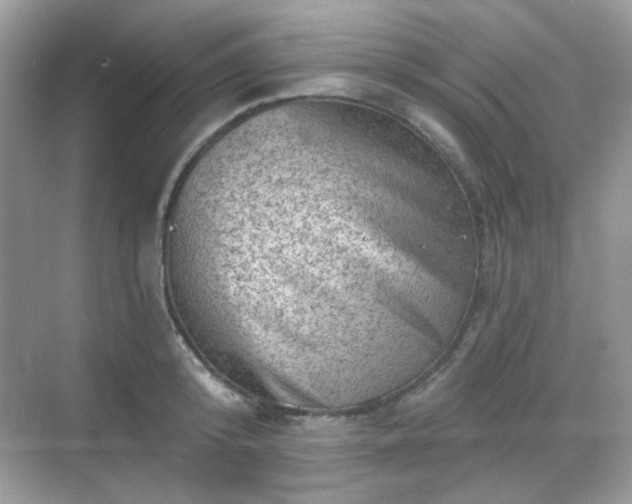 X0000068720800200605051432