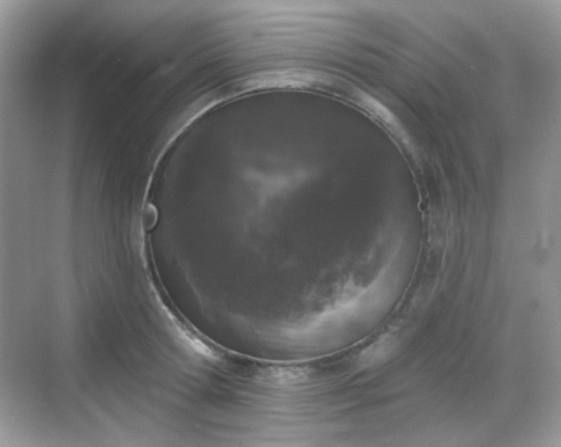 X0000068720802200605051432