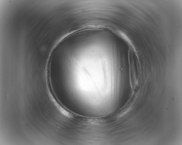 X0000068720803200605051431