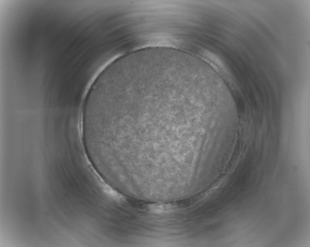 X0000068720804200605051431