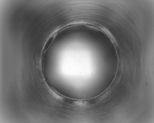 X0000068720805200605051431