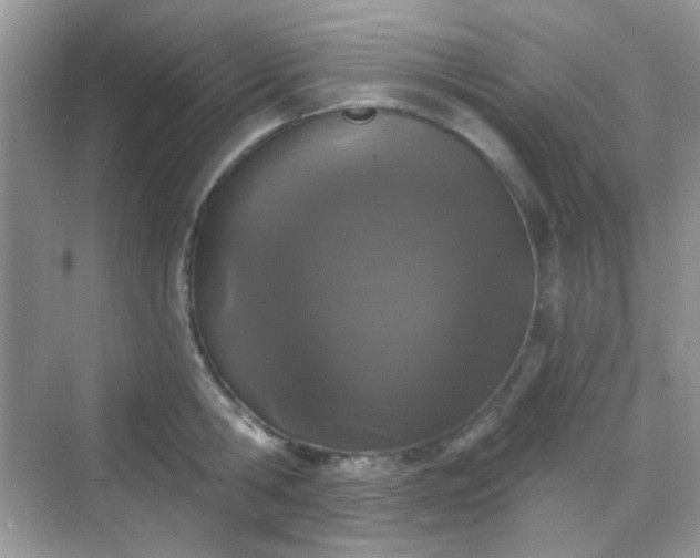 X0000068720806200605051431